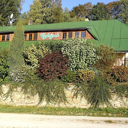 Apartmany Vydrysek Срни Экстерьер фото